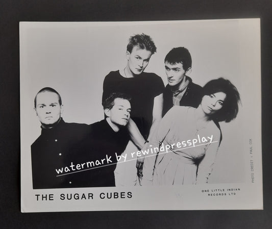 The Sugar Cubes 10" x 8" Record Company Promo Photo