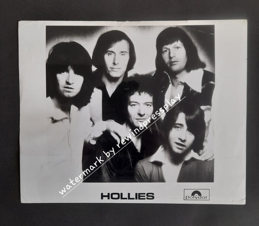 The Hollies 10" x 8" Original Polydor Promo Photo
