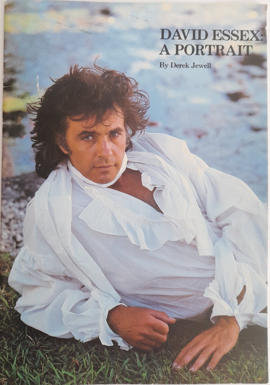 David Essex A Portrait 1984 UK Tour Programme
